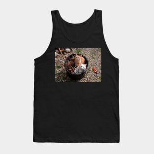 Two Cats in Garden Tub Tank Top